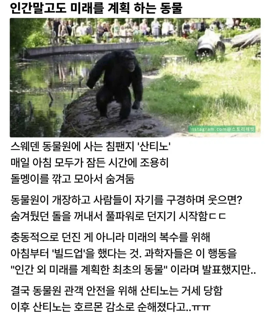 image.png.webp